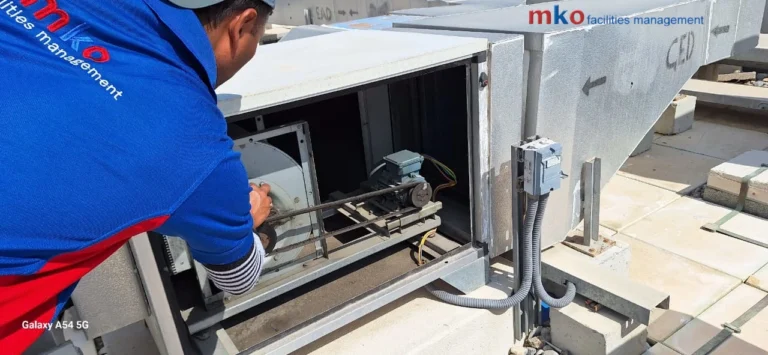 Building Inspection services