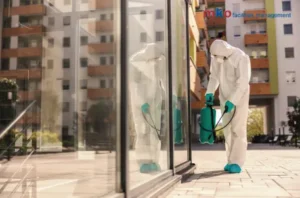 Professional Building Cleaning Services in Dubai
